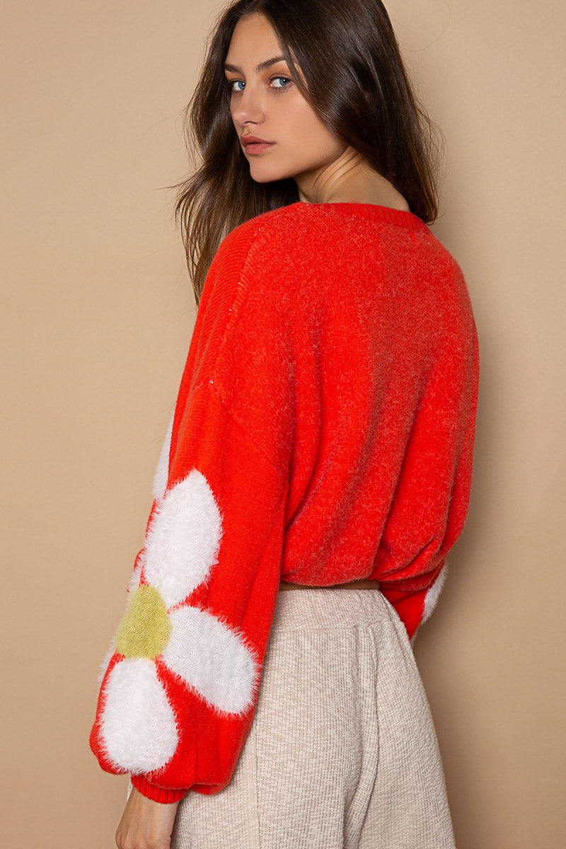 roulhacfashionboutique